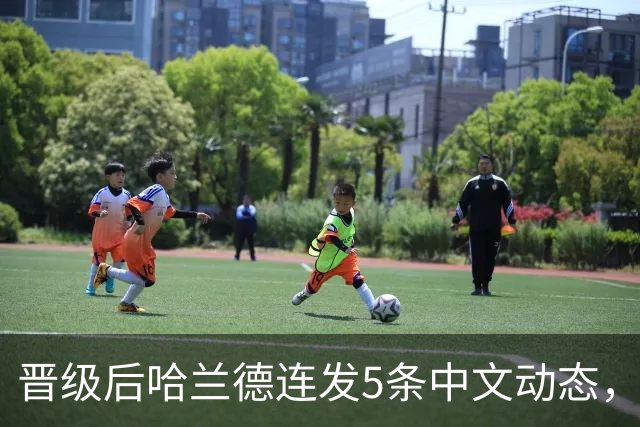 晋级后哈兰德连发5条中文动态，配乐尤爱伍佰《挪威的森林》